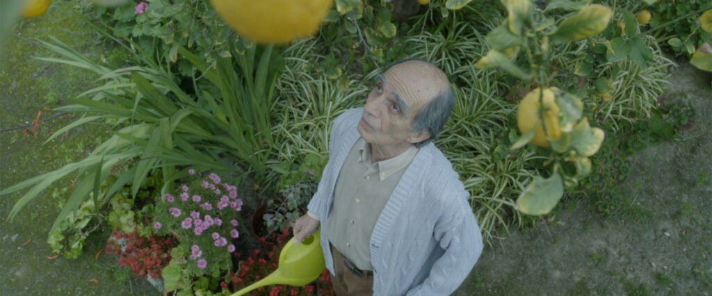 senior citizen