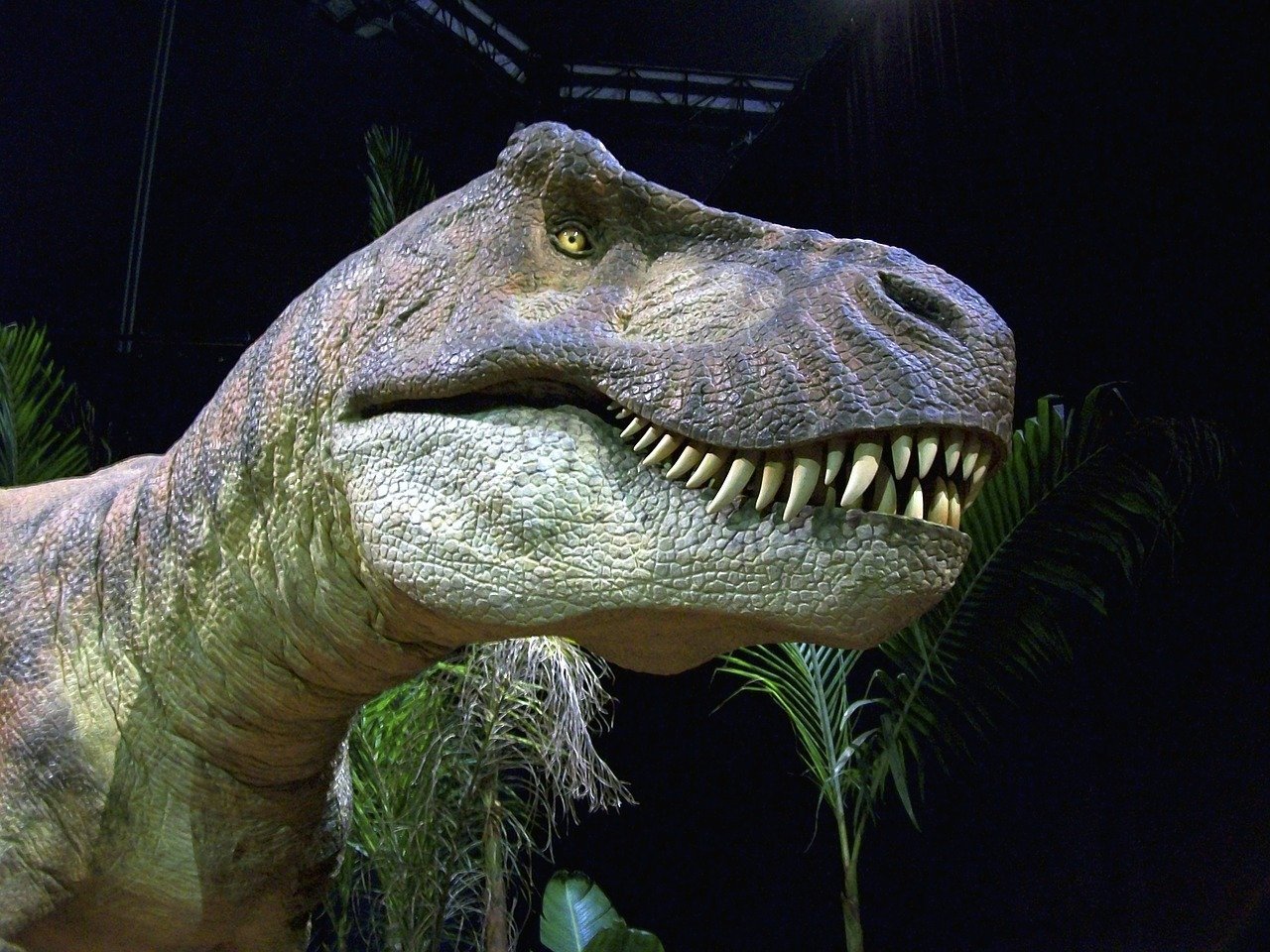 «Όπως ο Godzilla, αλλά πραγματικά πραγματικός»: η μελέτη δείχνει ότι ο T. rex ήταν 2,5 δισεκατομμύρια