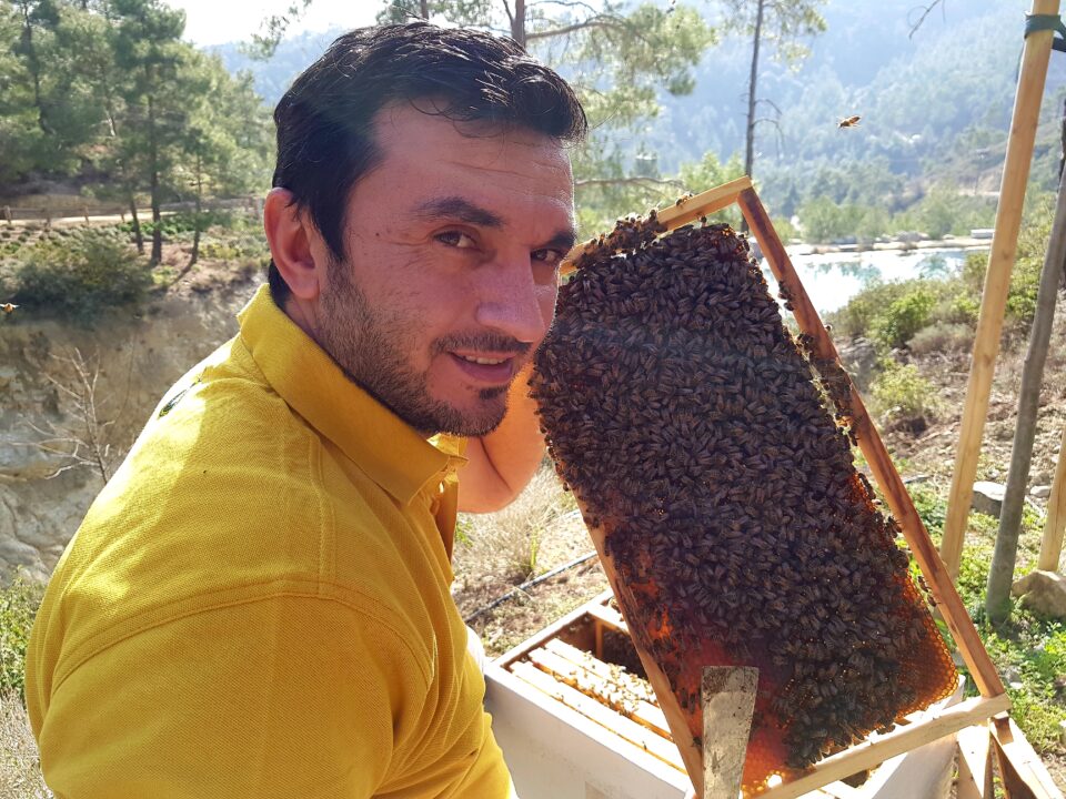 the team breeds bees that are gentle, meaning they do not have to wear protective clothing