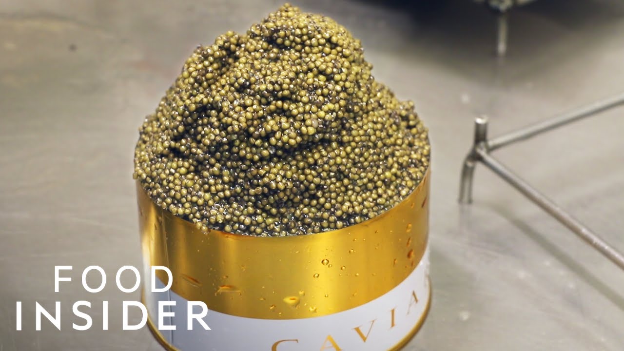 image High and roe: how Europe&#8217;s largest caviar producer farms its black gold