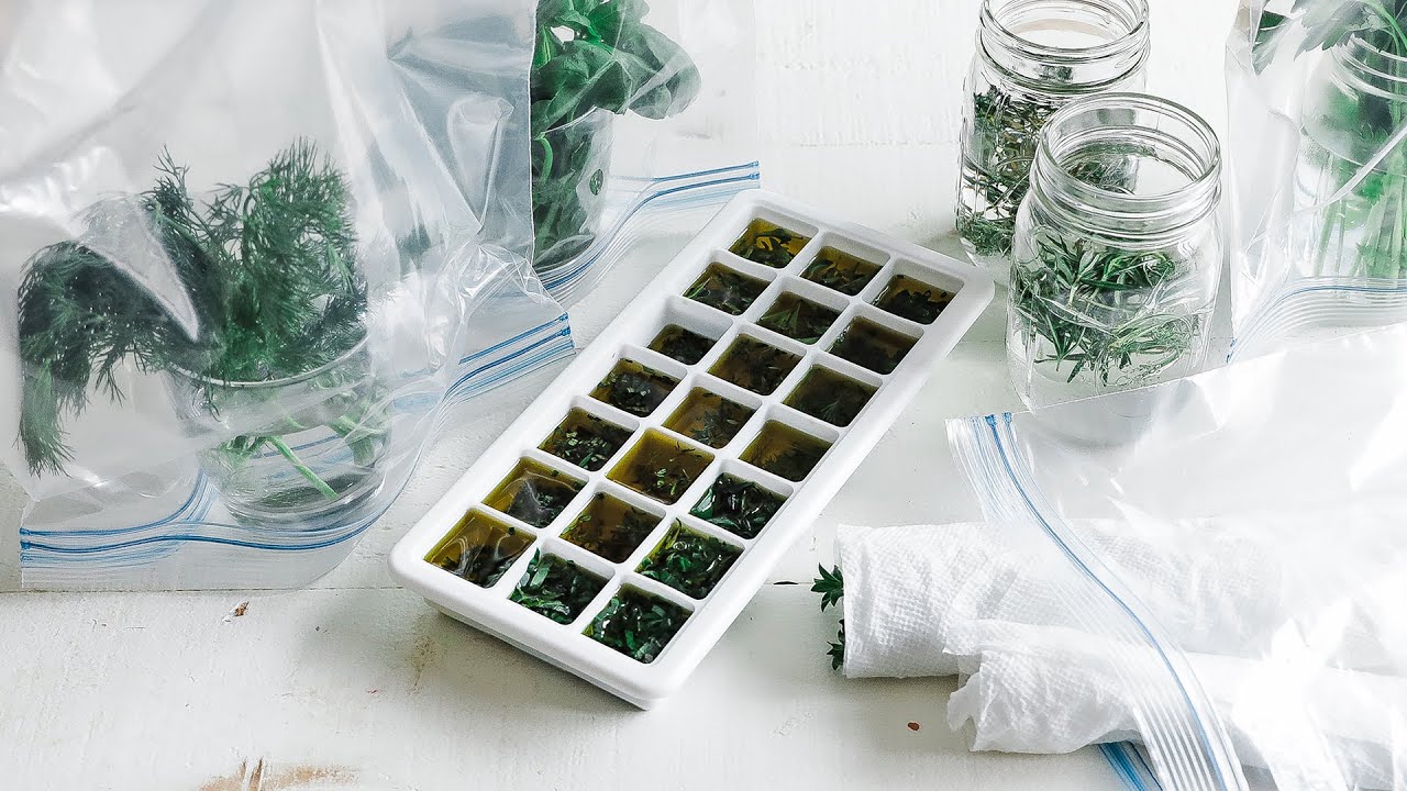 image How to preserve and extend the life of fresh herbs