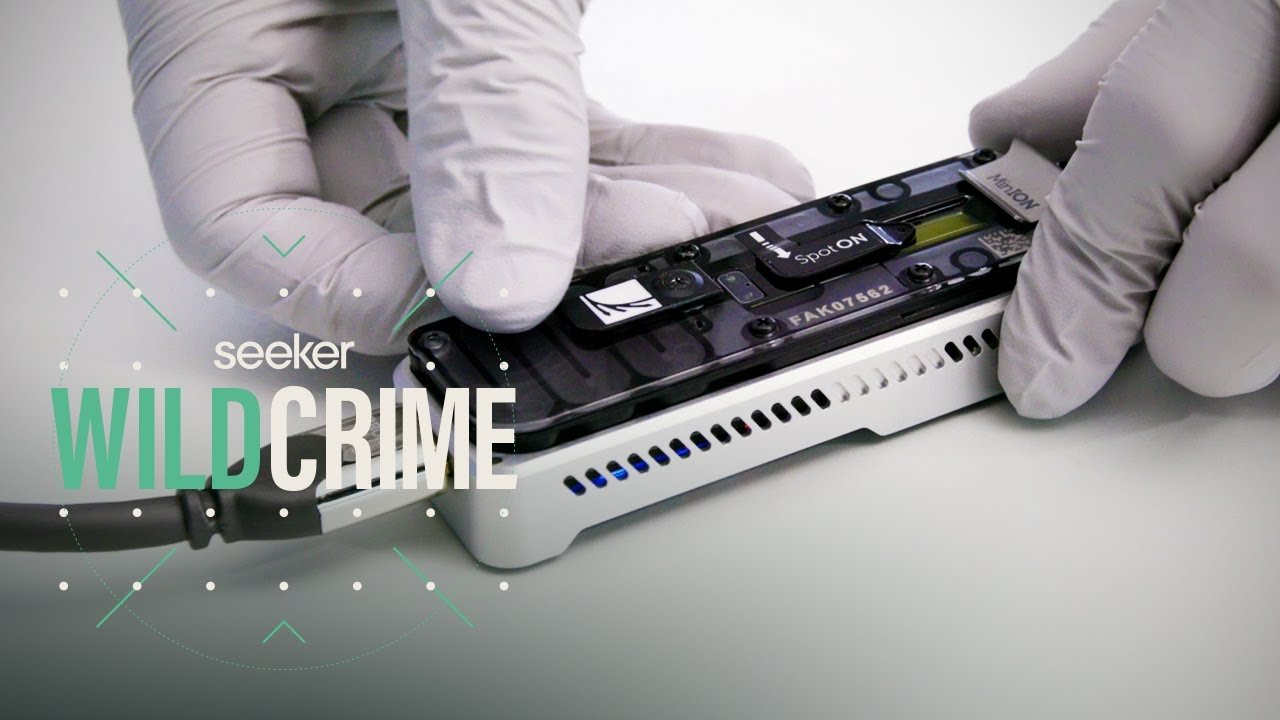 image How DNA sequencing is curbing shark poaching