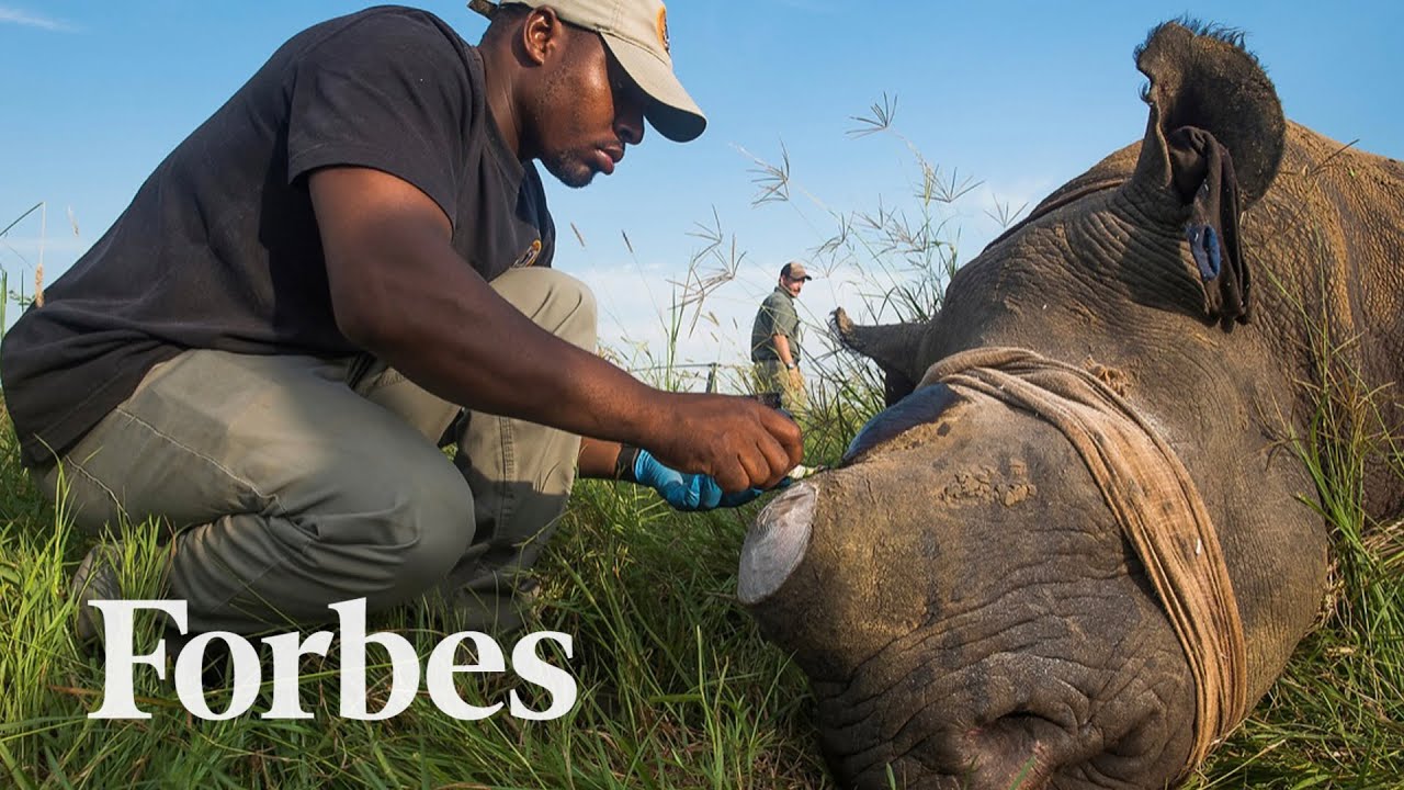image How Covid set off a conservation crisis in South Africa