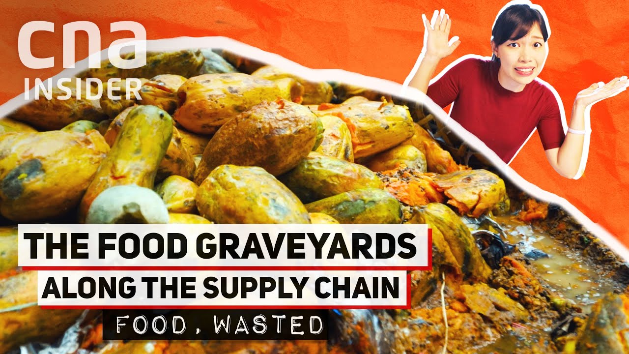 image Tackling supply chain failures and &#8216;food graveyards&#8217;