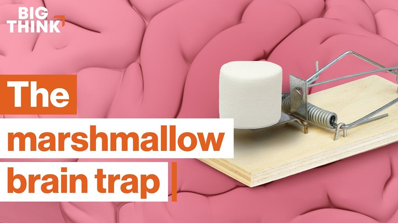 cover How to retrain your brain for long-term thinking