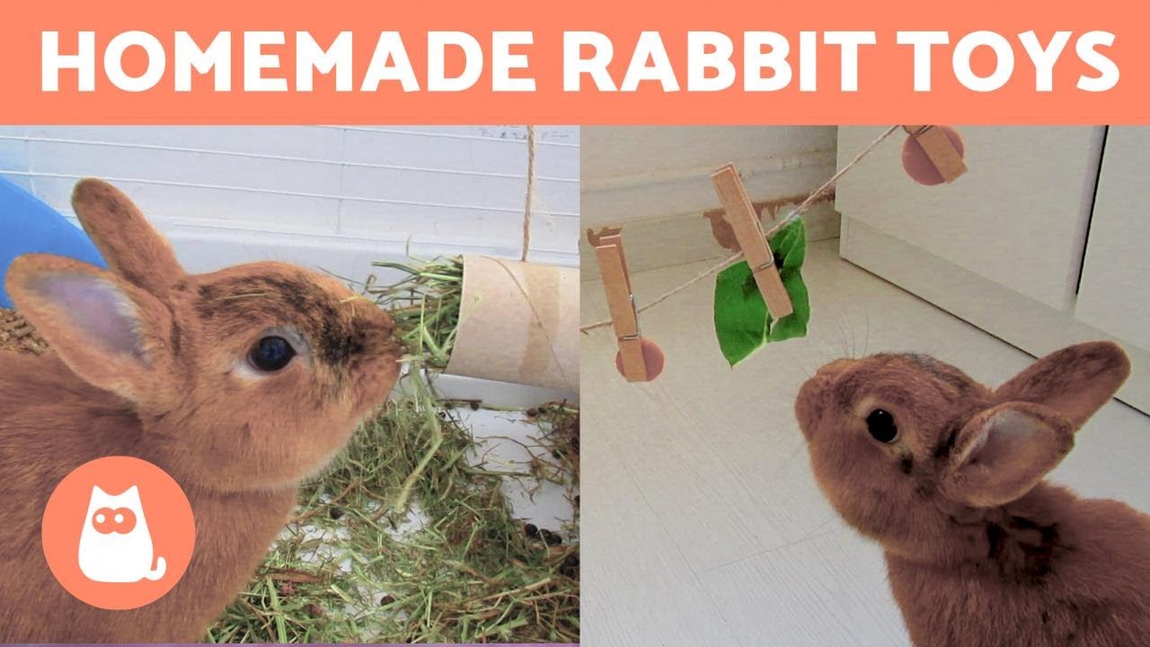 image Three DIY toys for pet rabbits made from recycled materials