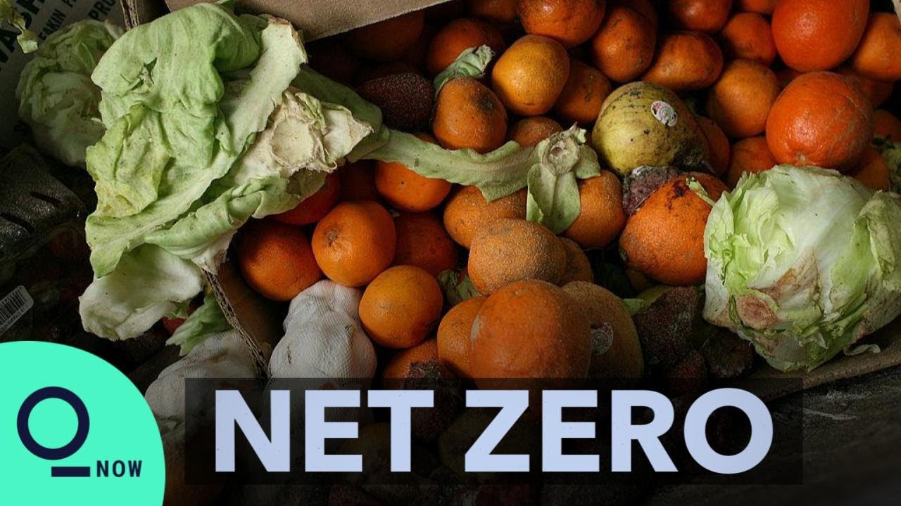 image How food waste is contributing to climate change