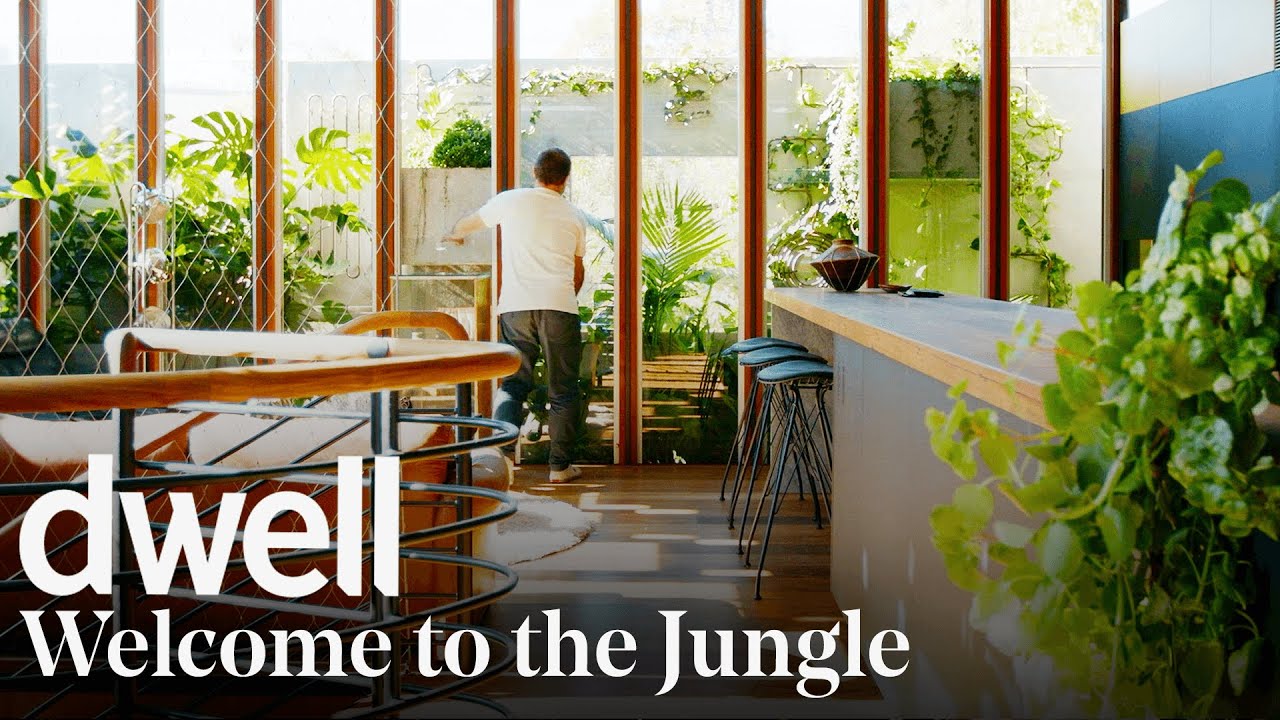 image The jungle home whose &#8216;ecosystem&#8217; combats climate change