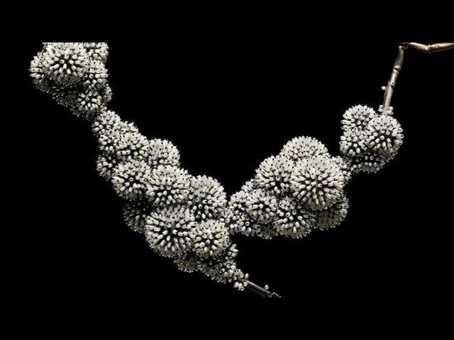 image Objects of desire: the remarkable history of pearls