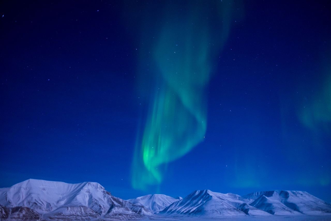 image What’s Eaten Where: Svalbard
