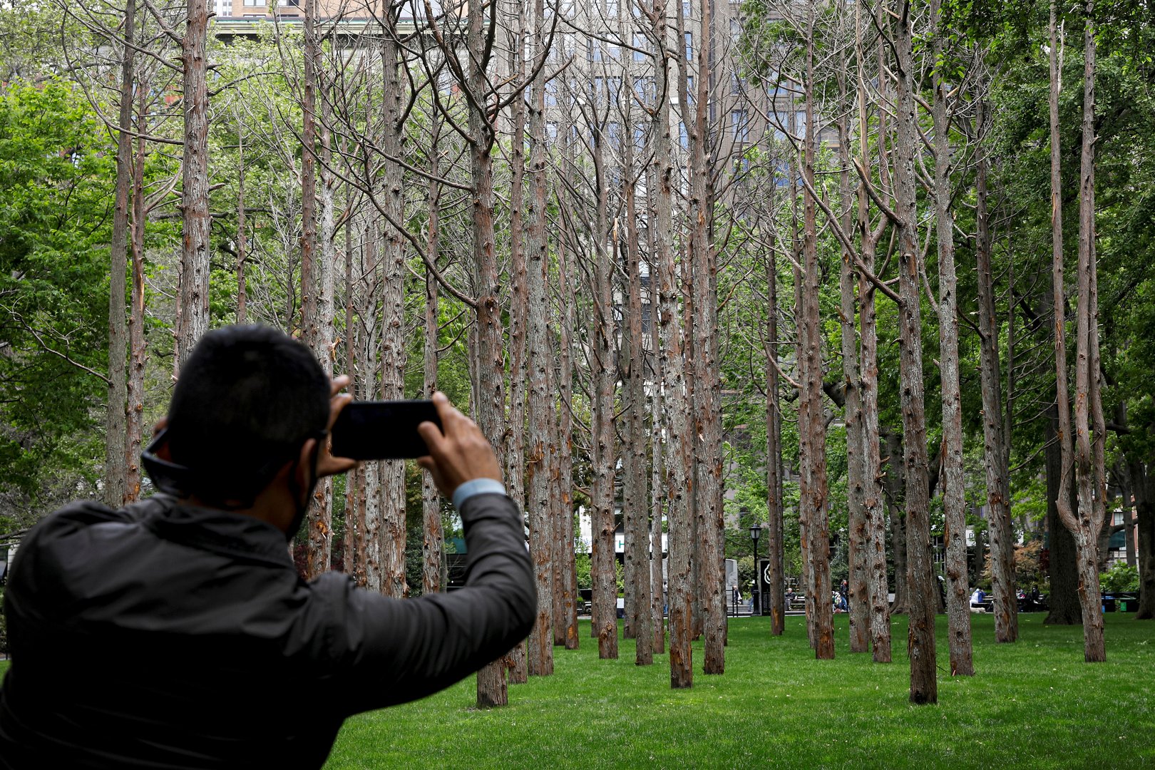 image In New York, artist&#8217;s &#8216;Ghost Forest&#8217; warns on rising sea water