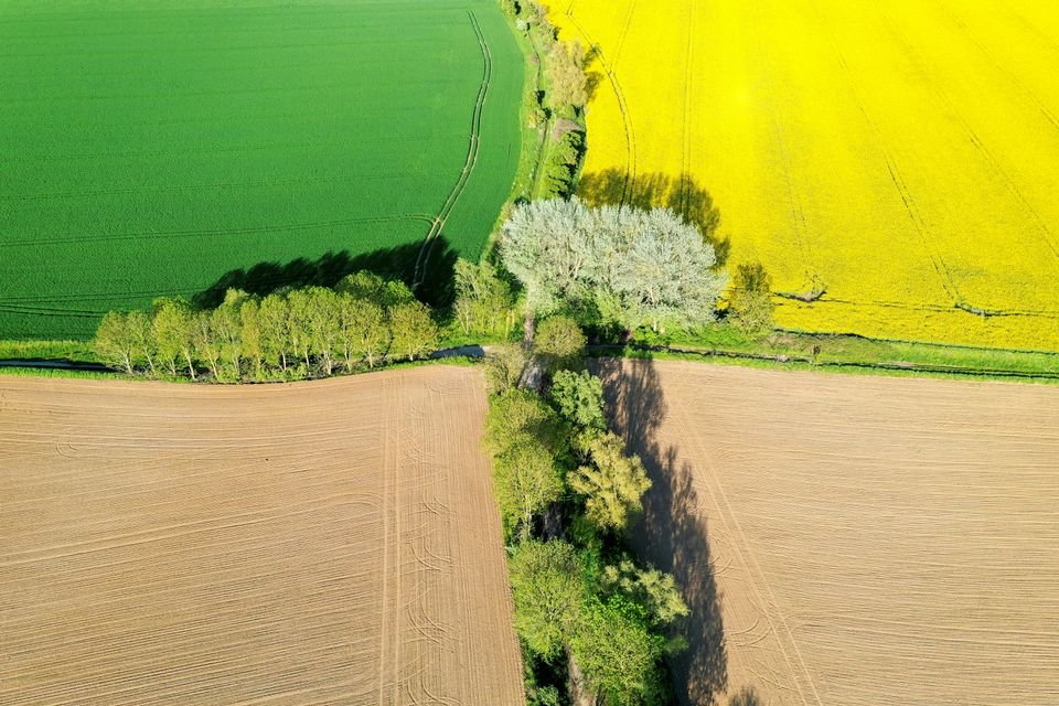 image EU to finalise huge farm policy overhaul; climate groups cry foul