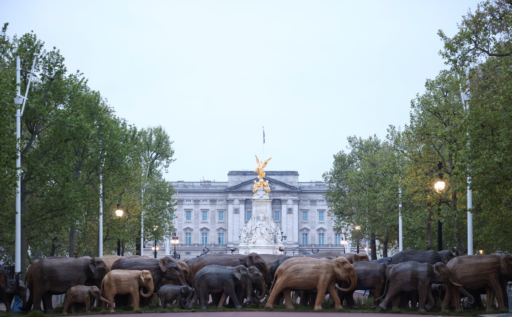 image Herd community? Elephants show us how to coexist