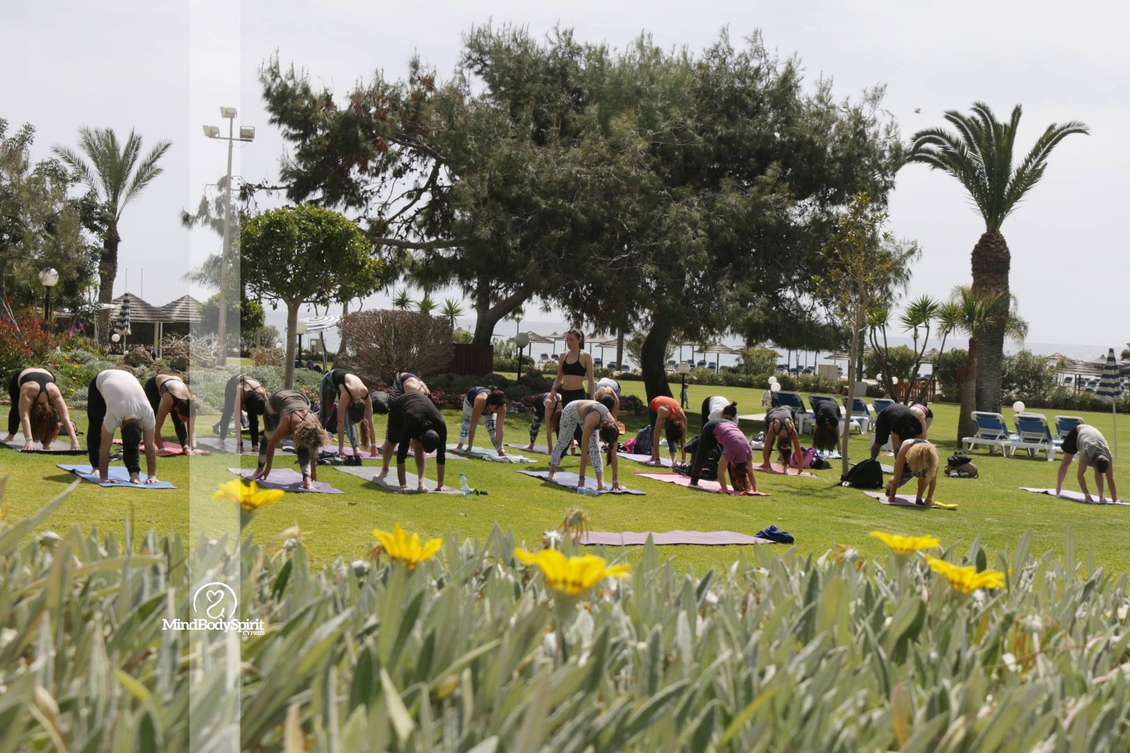 image One-day wellness event looks at all things mindful
