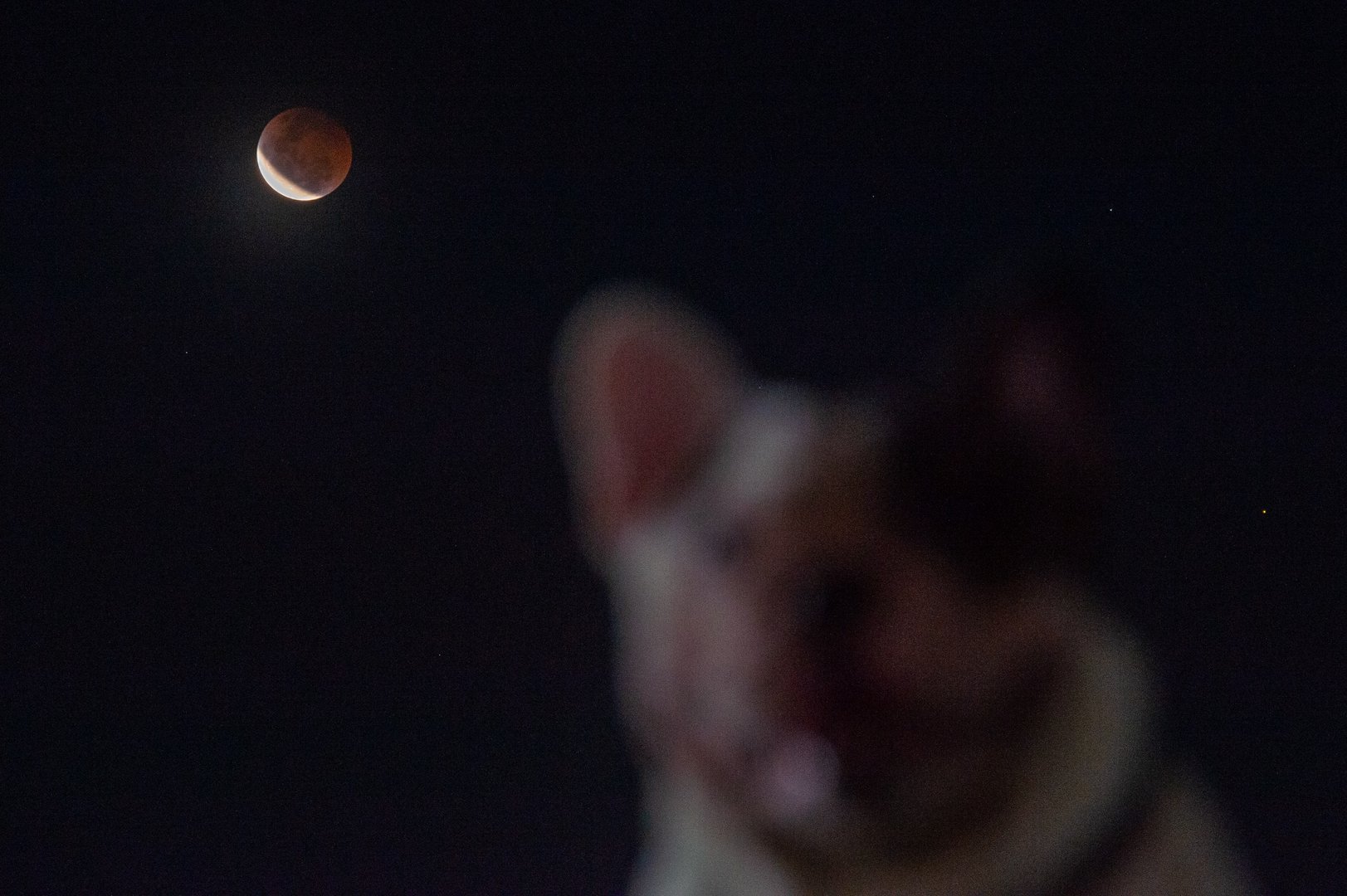 indonesia jakarta moon
