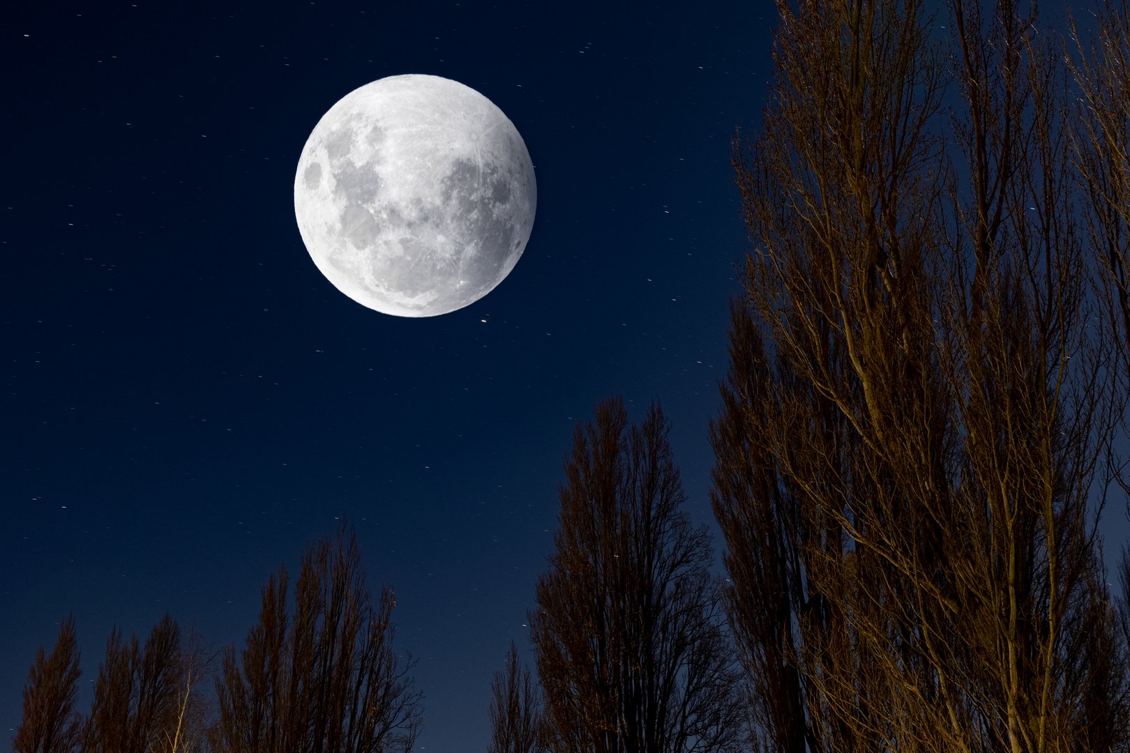 new zealand wellington moon