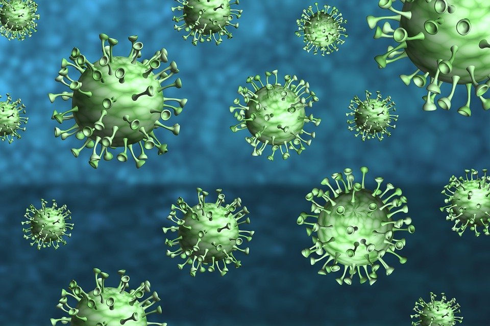 image Coronavirus: One death as daily figure falls to double digits again (updated)