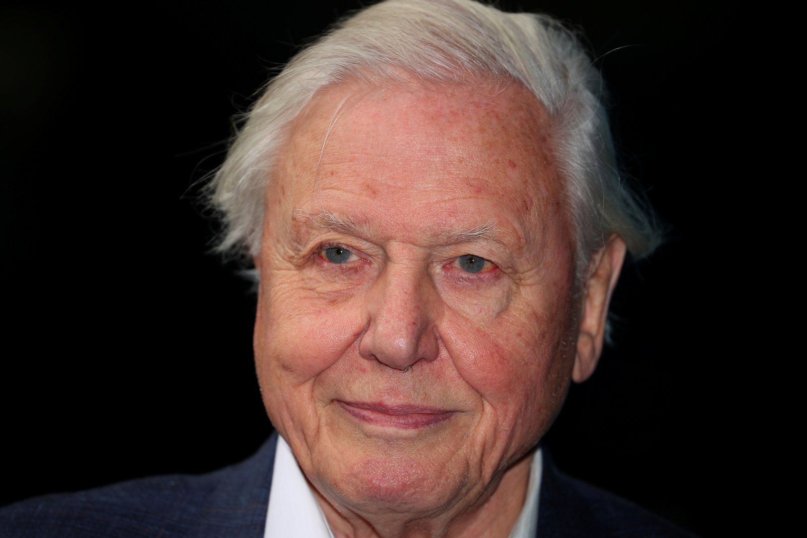 image David Attenborough named COP26 People’s Advocate ahead of key climate summit