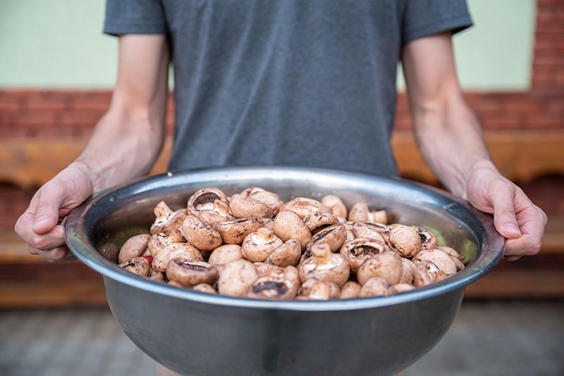 cover Could mushrooms be the health-booster you’re missing?