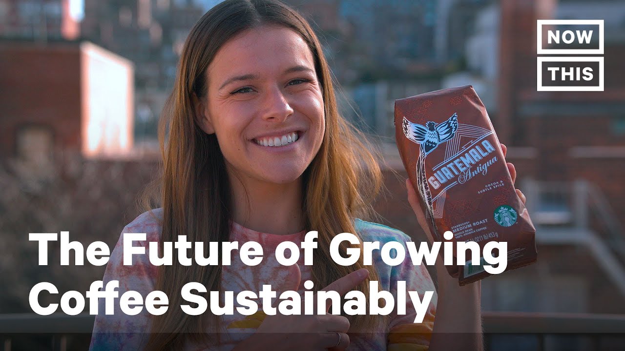 How Sustainability Is Shaping The Future Of Coffee Farming | Cyprus Mail