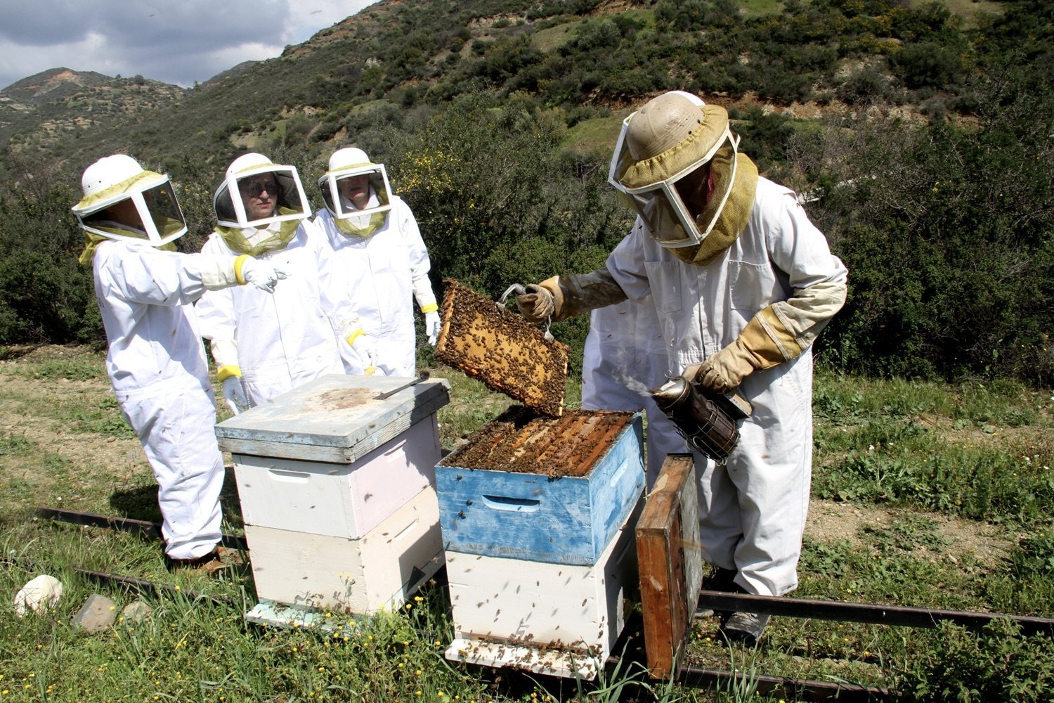 Larnaca’s bee villages seek to attract more visitors (with video ...