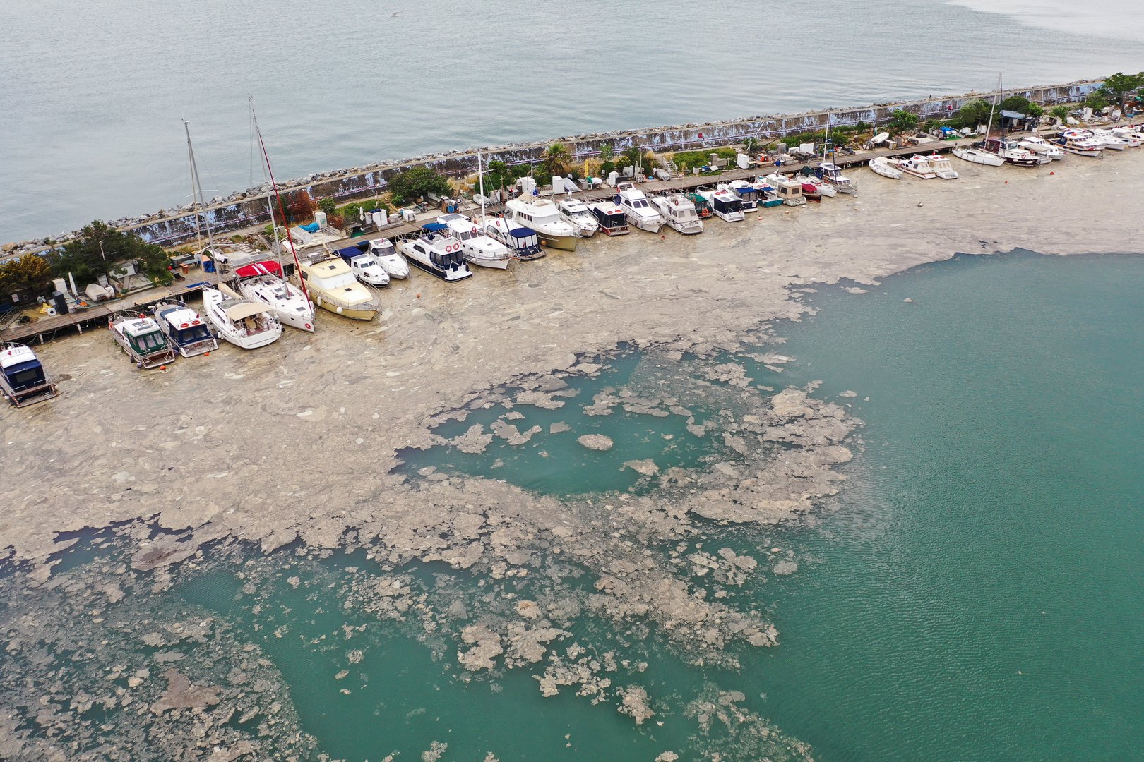 image &#8216;Sea snot&#8217; outbreak off Turkish coast poses threat to marine life