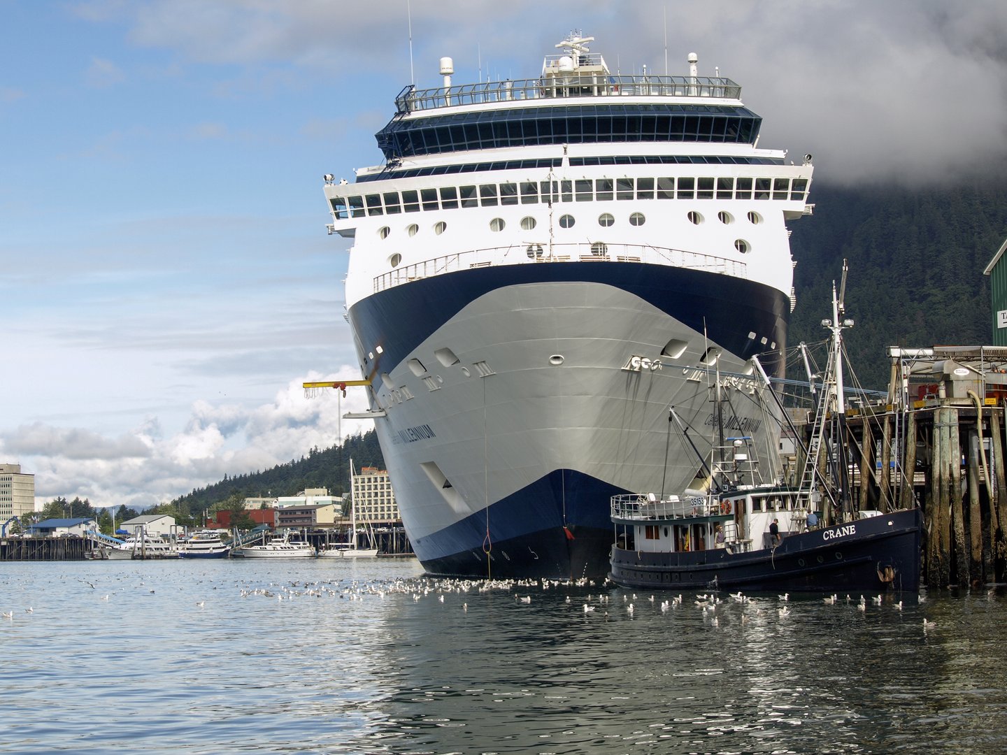 image Companies say no change in plans after Covid cases on all-vaccinated test cruise
