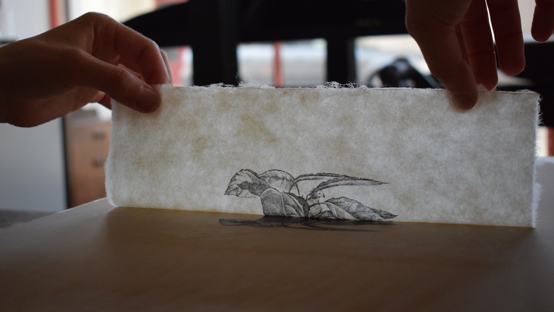 image Printmaking exhibition pays tribute to nature