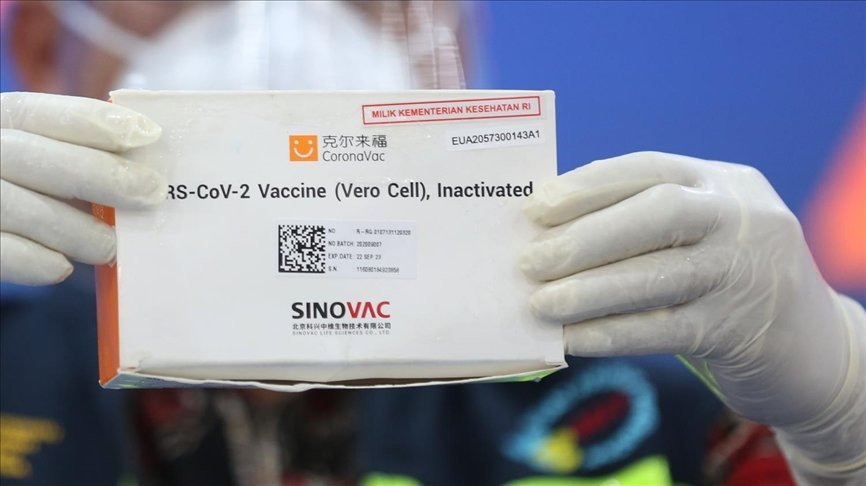 image Chinese Sinovac vaccine approved by World Health Organization