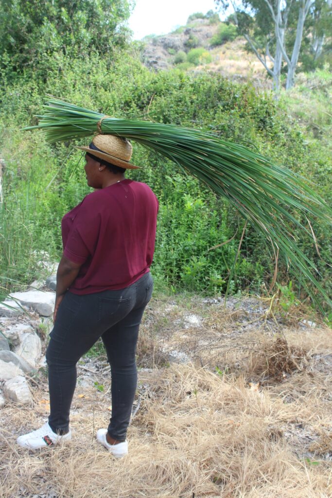 we gathered reeds for for chair restoring. the african ladies carried it to the pick up on their heads