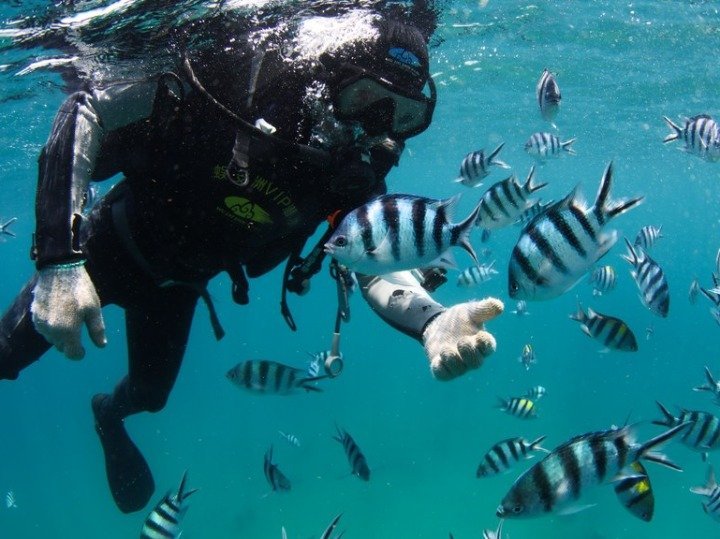 image China marks World Oceans Day with a focus on protecting marine biodiversity