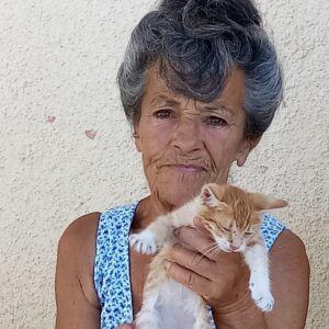 feature bejay gaynor has been feeding stray cats for 33 years