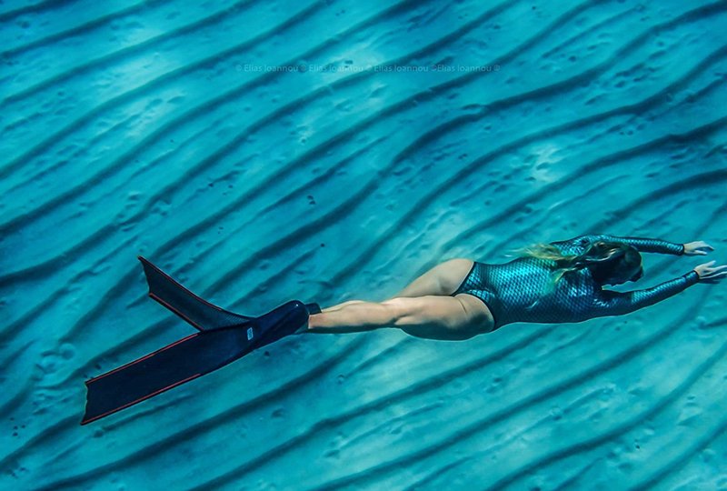 cover Celebrating the beauty beneath the sea