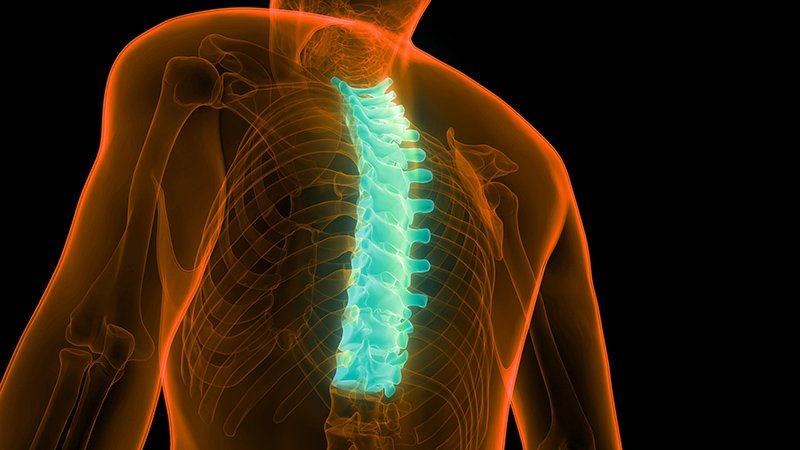 cover Don’t forget about your thoracic spine
