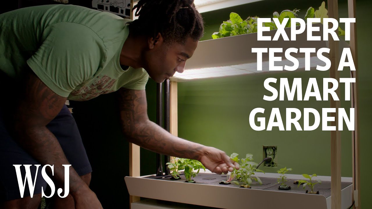 image Can an indoor smart garden beat outdoor gardening?