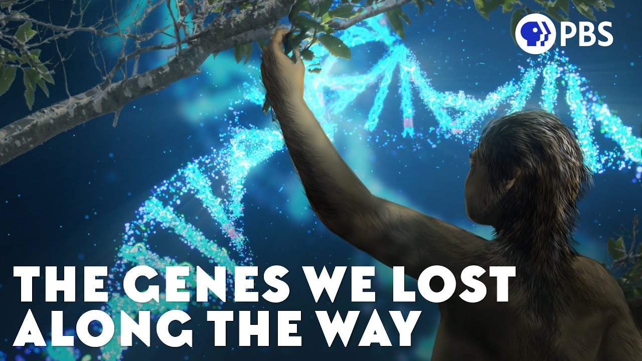 image The genes we lost to mutation in the process of evolution