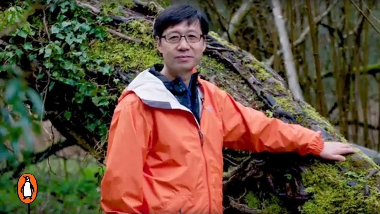 cover Shinrin-Yoku: how Japan&#8217;s art of &#8216;forest bathing&#8217; boosts health