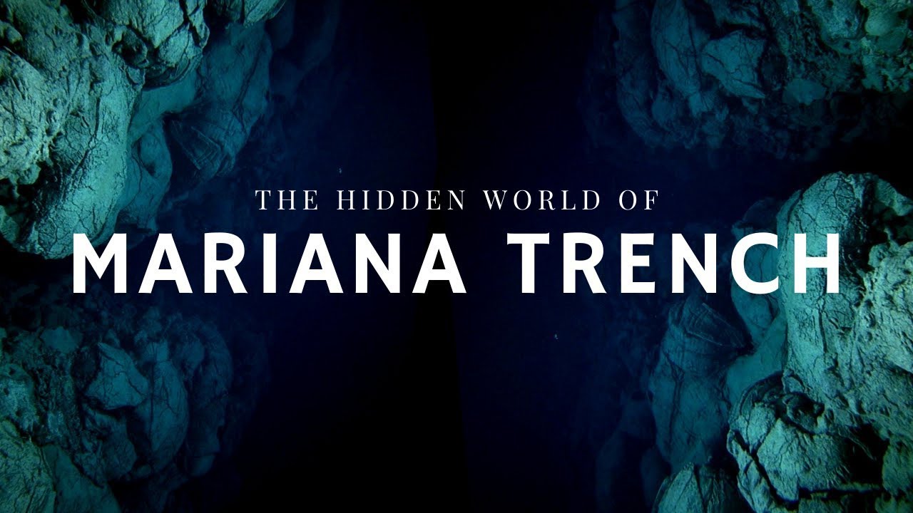 image Stories of the Deep: the hidden world of the Mariana Trench