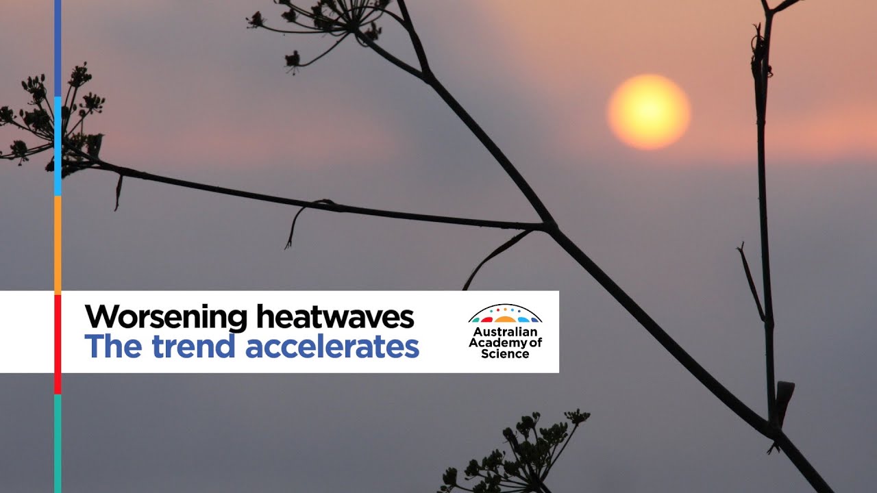 image Hope in the midst of change: the science mapping the rise in heatwaves