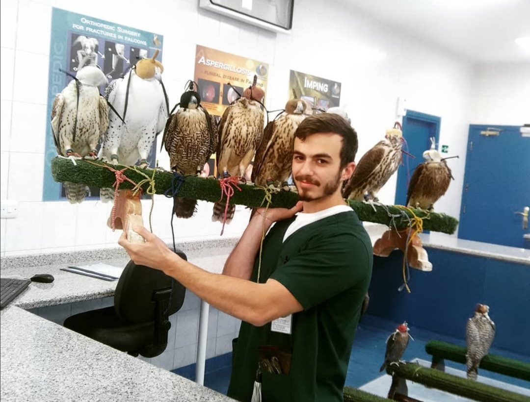 Featured Gina Main Constantinos with Falcon Hunt in Abu Dhabi Falcon Hospital