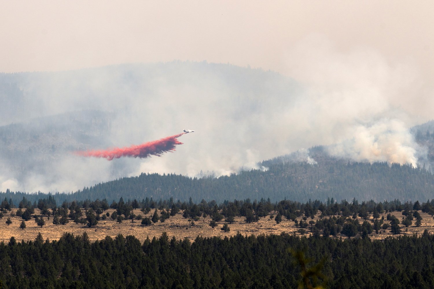 image Sprawling Oregon wildfire, largest of dozens in US, continues to grow