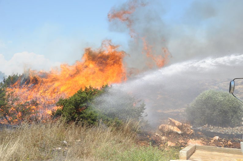 cover Lythrodontas fire destroys crops, pine trees