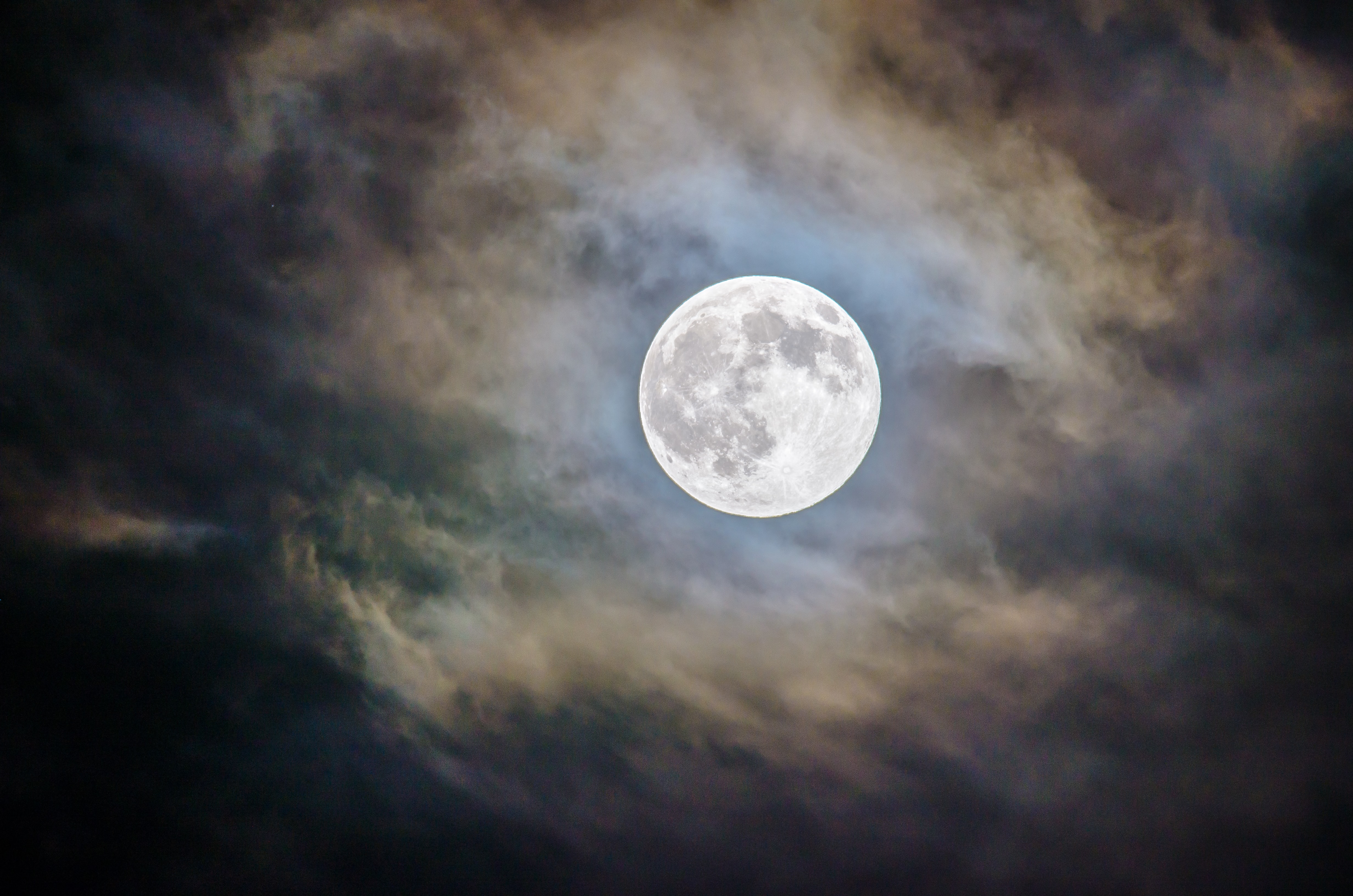image A poetry night under the full moon