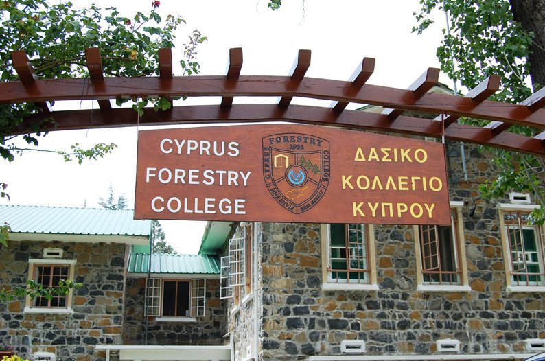 martin the forestry college at prodromos would be an ideal venue for firefighting training and learning about climate change and forest