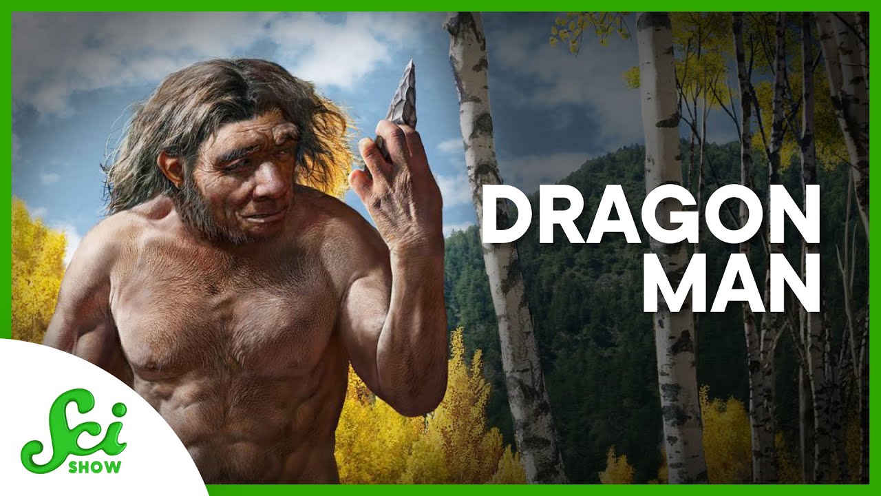 image Enter the &#8216;Dragon Man&#8217;: human-kind&#8217;s possible new relative