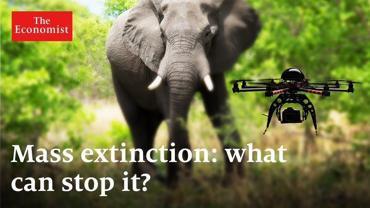 image What can be done to halt mass extinction?