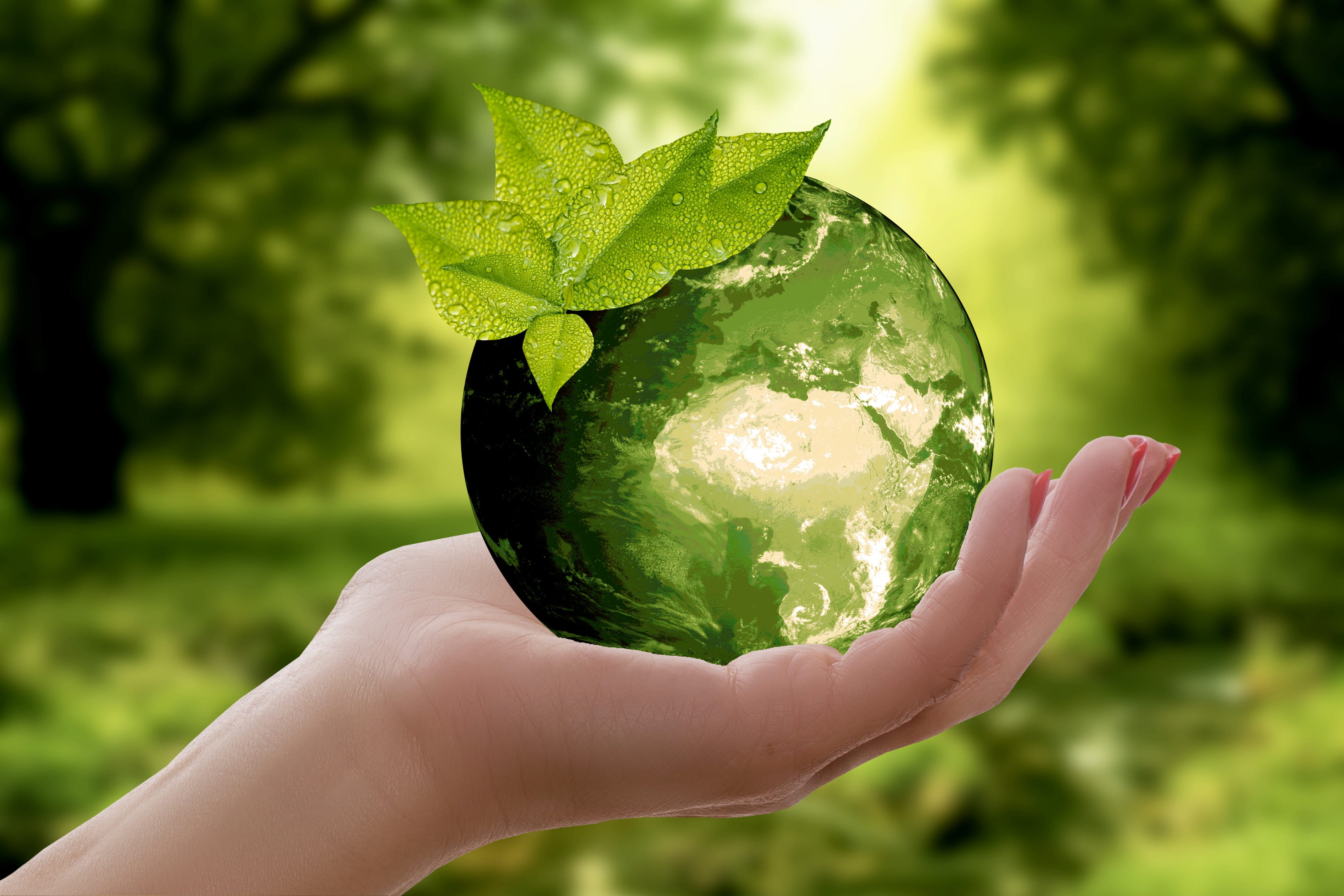 image Sustainable investments account for about one third of global assets