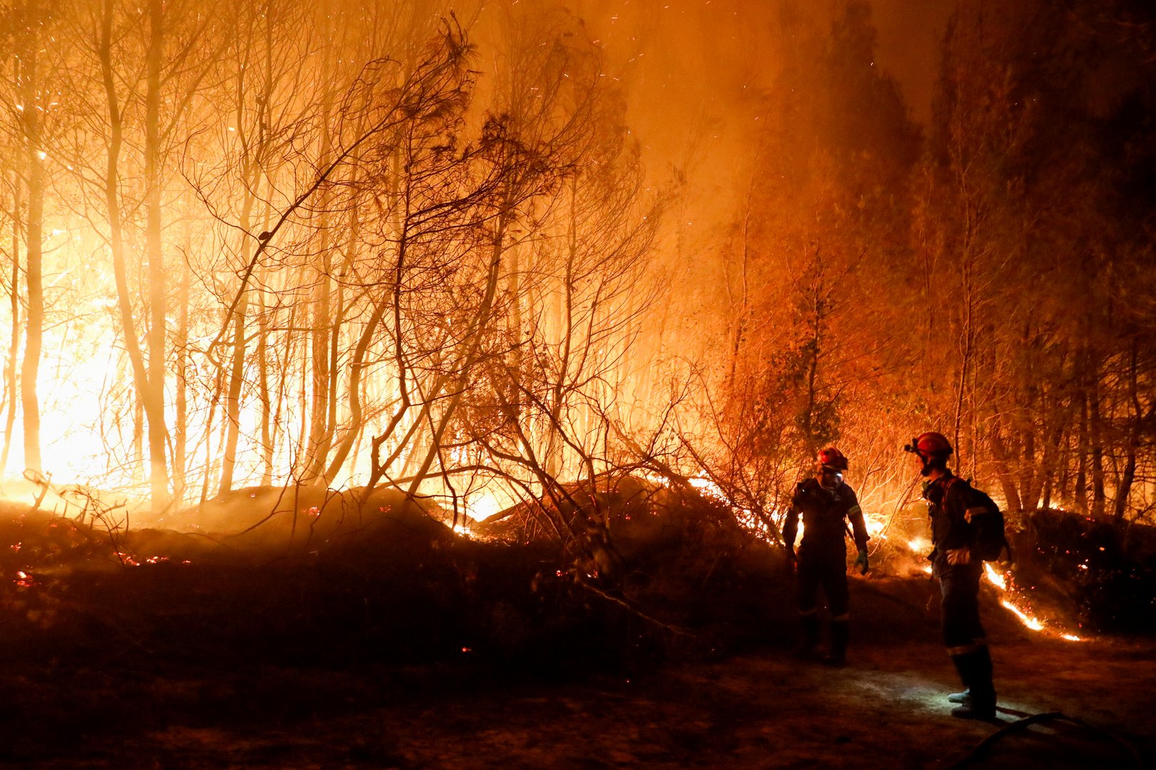 image Wildfires roar back to life near Athens as winds fan flames