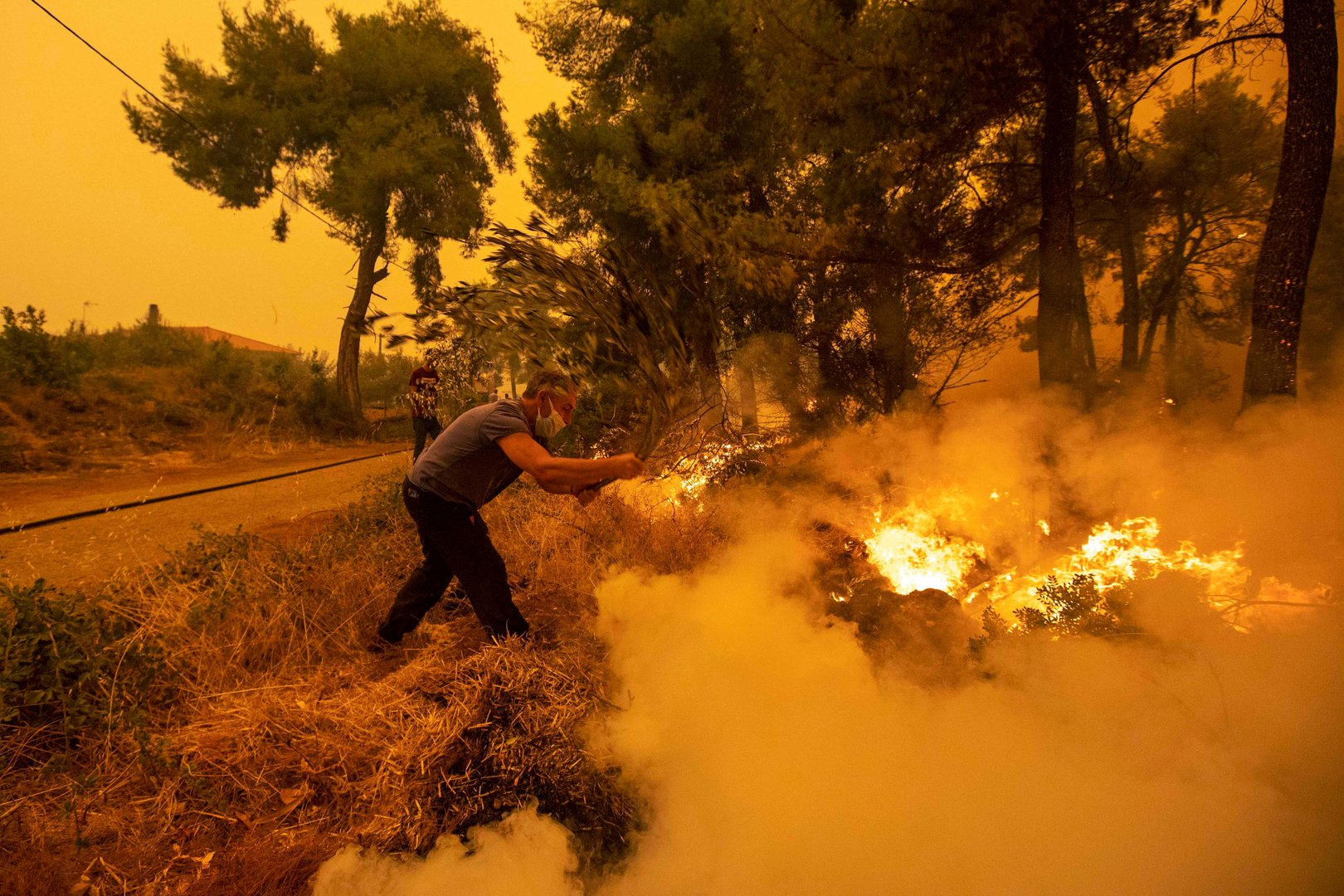 image Greece starts to count cost after a week of devastating fires