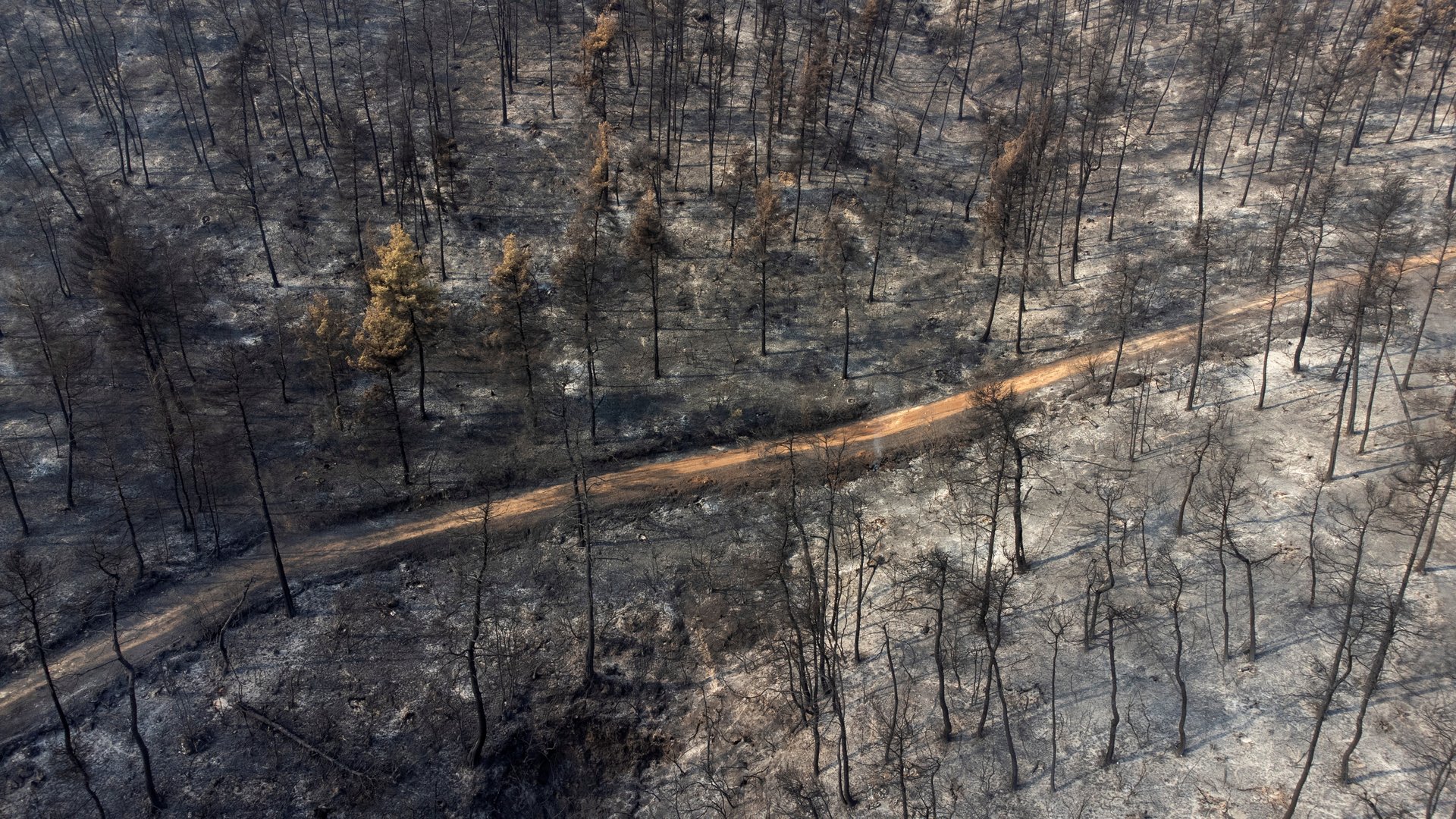 image Wildfires burn outside Athens, villages evacuated